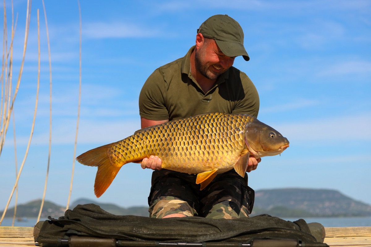 Balaton tavasszal S-carp product