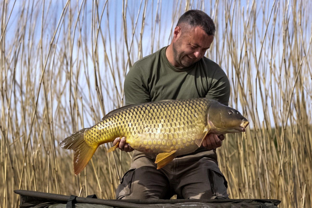 Balaton tavasszal S-carp product