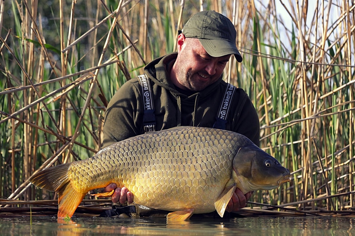 Balaton tavasszal S-carp product